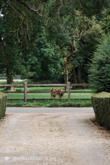 The Coach House * Wyberton